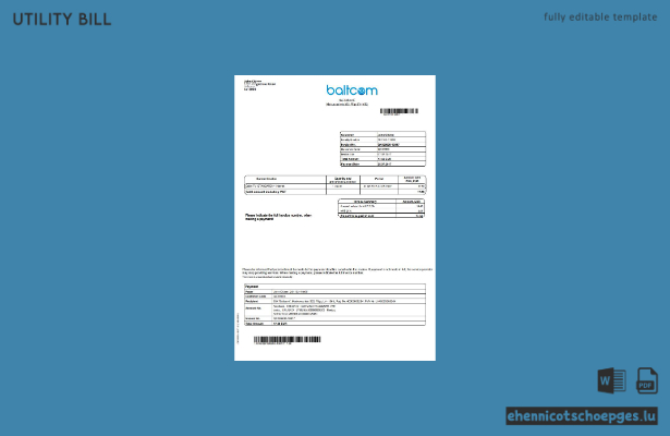 Beispielrechnung für den Telekommunikationsversorger Baltcom in Lettland (Vorschau)